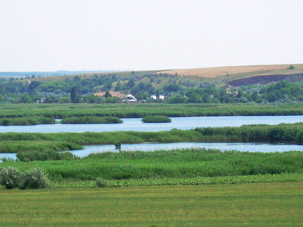 Кучурганський лиман